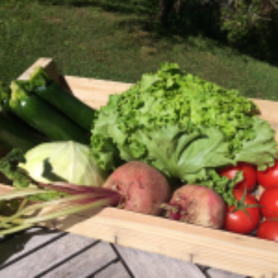 Panier de légumes (petit 1-2 pers.)