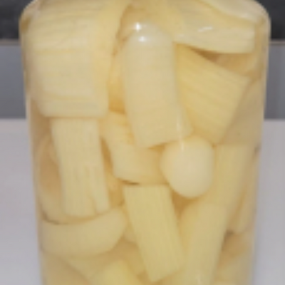 Cardon variété 'épineux de plainpalais' cuits