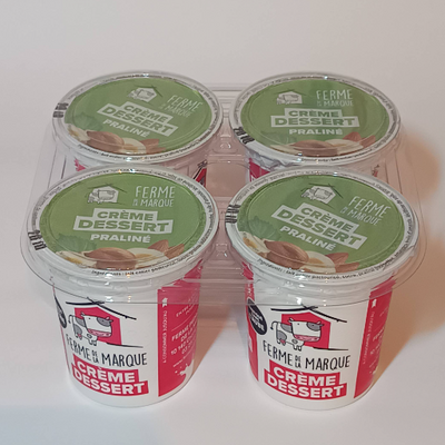 Crème dessert praliné (x4)