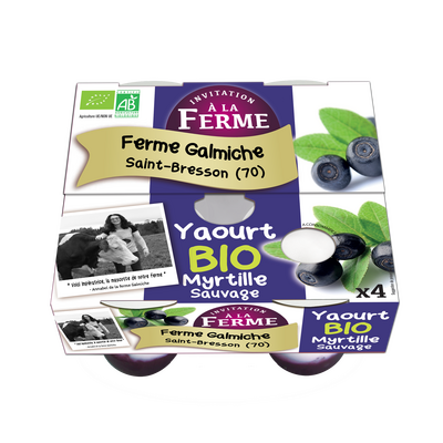 Yaourt bio à la myrtille sauvage 4x125g