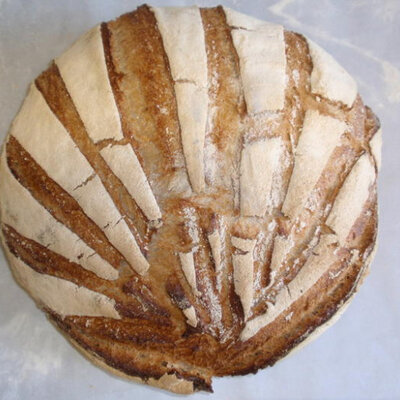 Pain bis miche (pur blé, semi-complet)