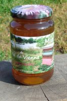 Miel du val de vienne