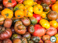 2.5 kg assortiment de tomate