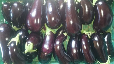 Aubergines par 500 gr
