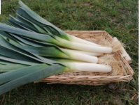 Poireaux