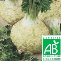 Céleri rave lavé sans fanes (800g)