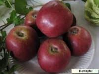 3 kg pommes à couteau non traitées