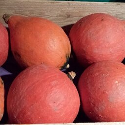 Potimarron à la pièce