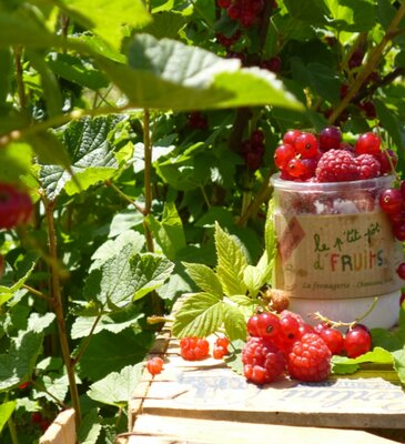 Le petit pot de fruits framboise cassis