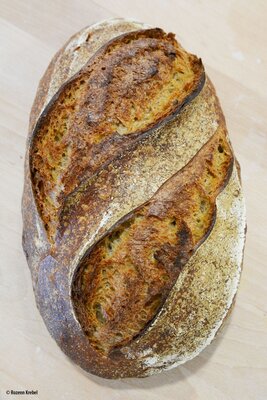 Le bon (pain de campagne)