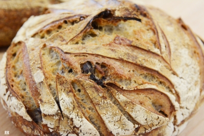 Le chanoine aux noix