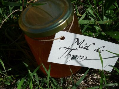 Miel de thym rose