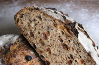 Pain écureuil (noisettes raisins)