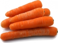 Carottes (récolte 2021 )