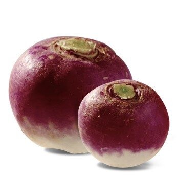 Navet violet