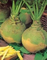 Rutabaga-500g