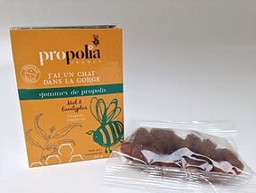 Gomme de propolis