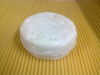 Fromage de chèvre frais nature sans sel