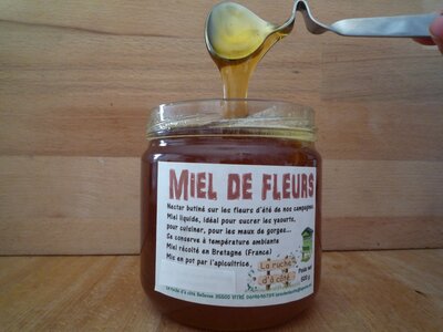 Miel de fleurs 250 g