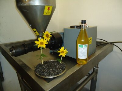 Huile de tournesol