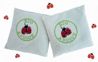 Lot 2 bouillottes sèche  bio 10cm/10cm ' bio addict '