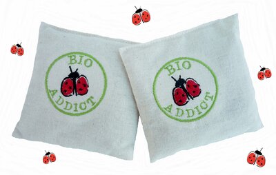 Lot 2 bouillottes sèche  bio 10cm/10cm ' bio addict '