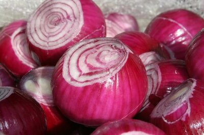 Oignon rose