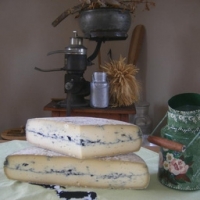 Cendre du vogelgesang