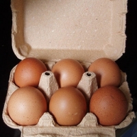 6 oeufs extras frais gros calibre