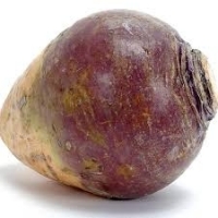 Rutabaga