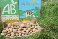 1 kg ditta bio pommes de terre chair ferme