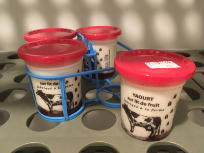 4 yaourts fruits rouge (bio) de vache