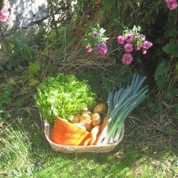 Panier de légumes de la semaine 'le duo'