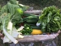 Panier de légumes (grand modéle)