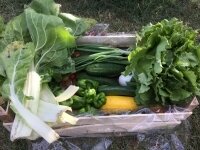Panier de légumes (grand modéle)