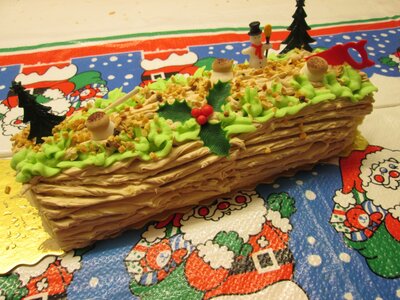 Bûche praliné 6/8 p crème au beurre