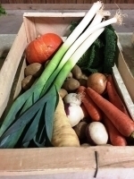 Panier de  légumes de saison pour 1