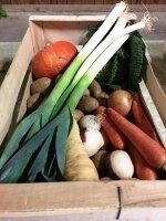 Panier de  légumes de saison pour 1