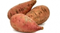 Patate douce (bio)