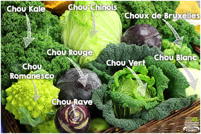 Chou bio