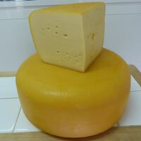 Gouda nature jeune 200-250g