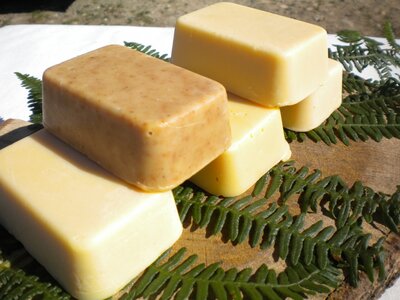Savons au lait d'ânesse palmarosa-bois de hô