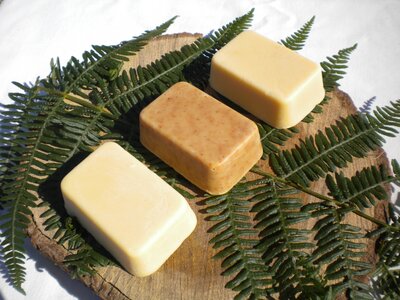 Savons au lait d'ânesse petit grain bigaradier -bergamote