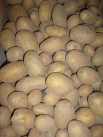 Pommes de terre ditta