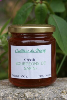 Gelée de bourgeons de sapin