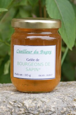Gelée de bourgeons de sapin
