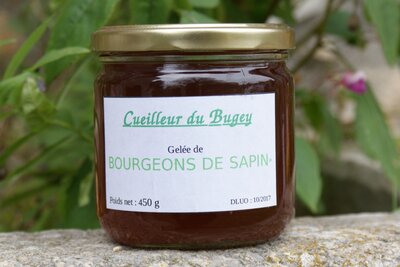 Gelée de bourgeons de sapin
