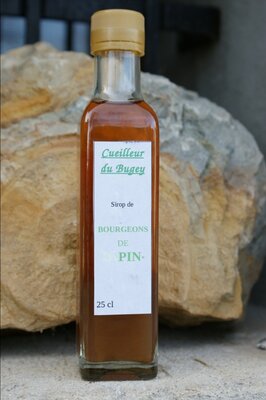 Sirop de bourgeons de pin sylvestre
