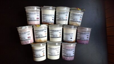 Panel n° 5 12 yaourts aux fruits