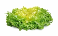 1 x salade frisée